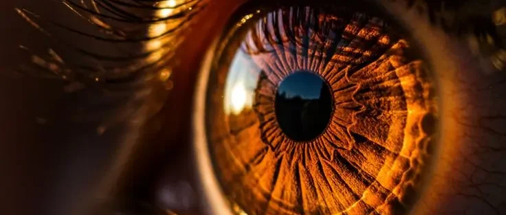 Evil Eye & Hasad (Jealousy)