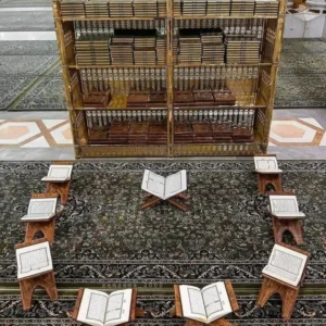 WhatsApp Image 2025-08-18 at 01.37.21_6e2afacf